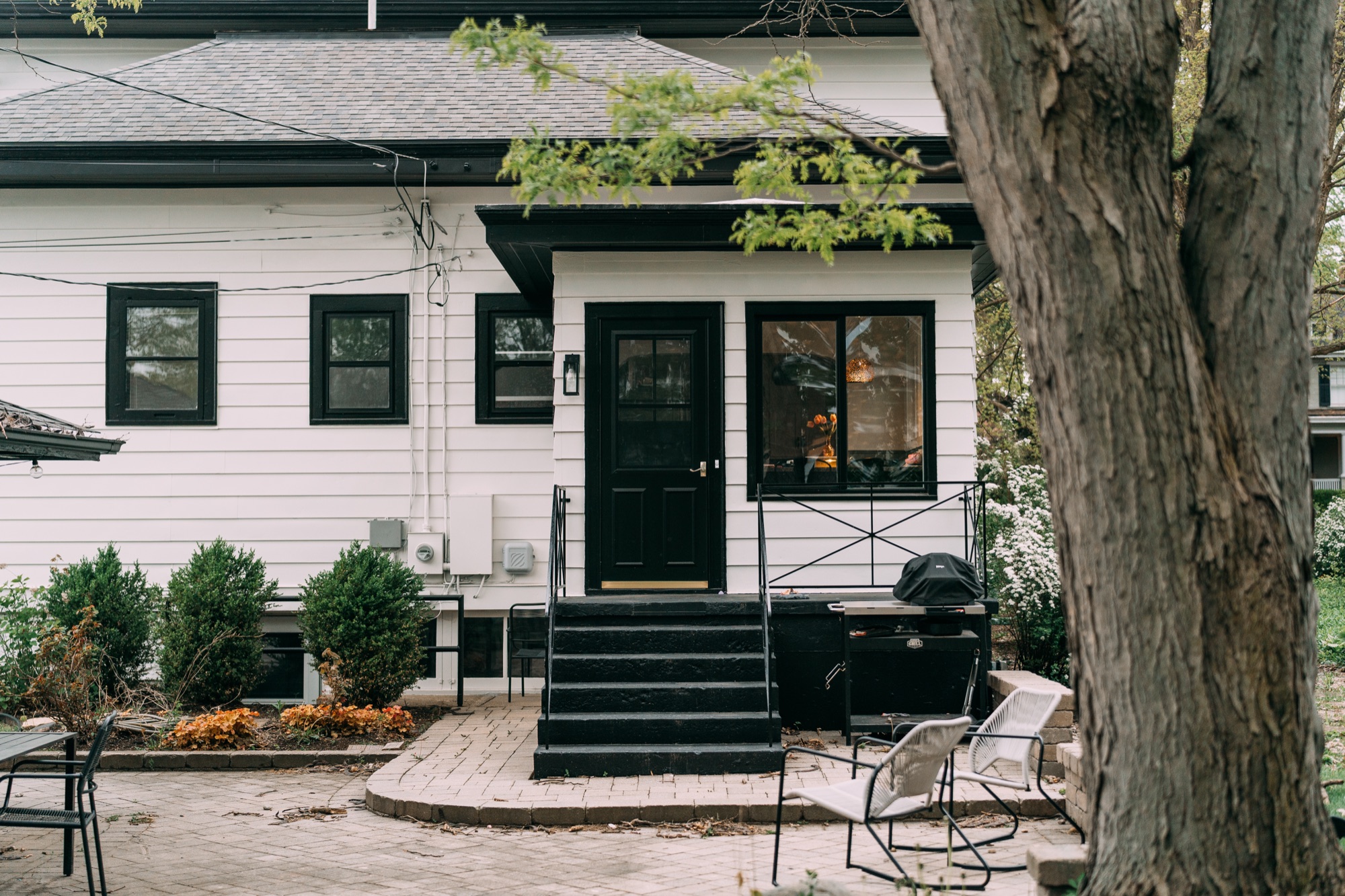 Repainted back door, steps and siding