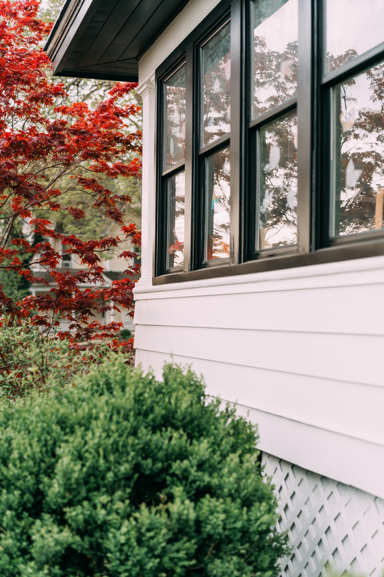Freshly painted white lap siding and black window trim