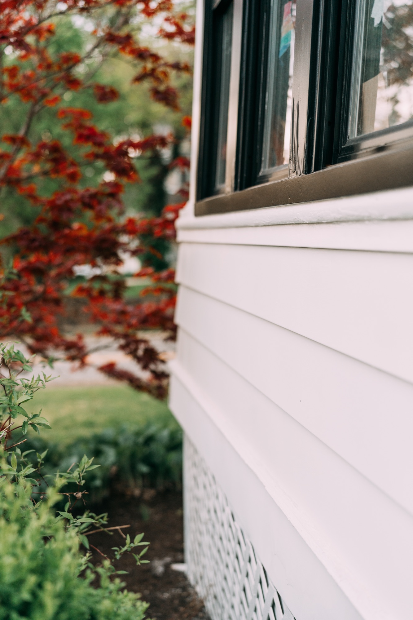 Crisp white lap siding against freshly painted black window frames